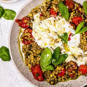 Mediterranean Lentils With Roasted Eggplant And Tomatoes-037