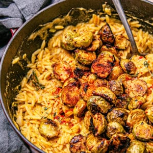 CREAMY BUTTERNUT ORZO WITH CRISPY MISO MUSTARD BRUSSELS SPROUTS-081